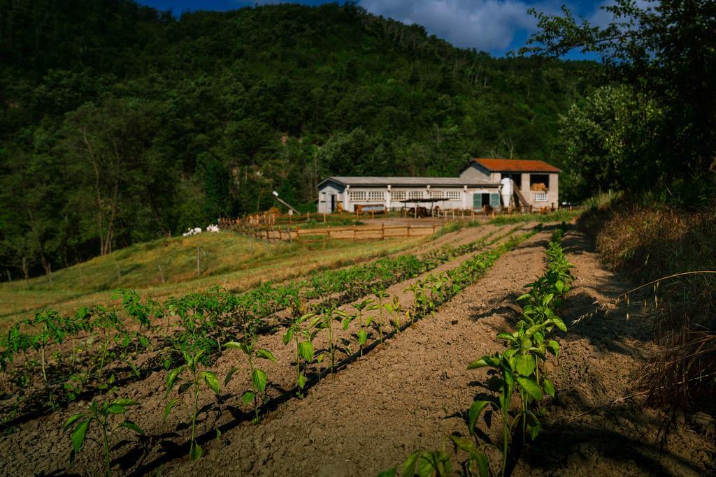 Agriturismo Cascina Del Vai Cairo Montenotte Bagian luar foto